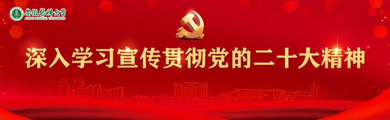 深入学习宣传贯彻党的二十大精神